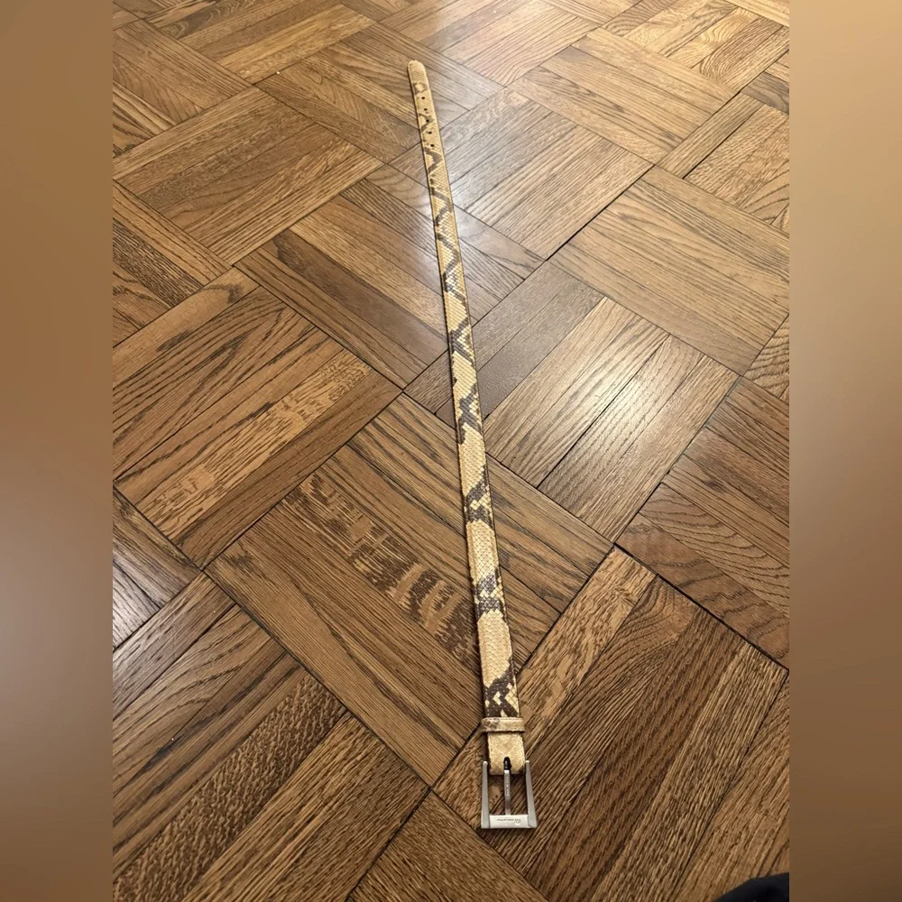 Stunning python belt - Picture 1 of 4